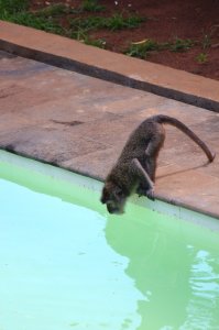 Nagyon meleg volt és a folyadékpótlás nemcsak nekünk fontos