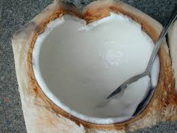 youngcoconut