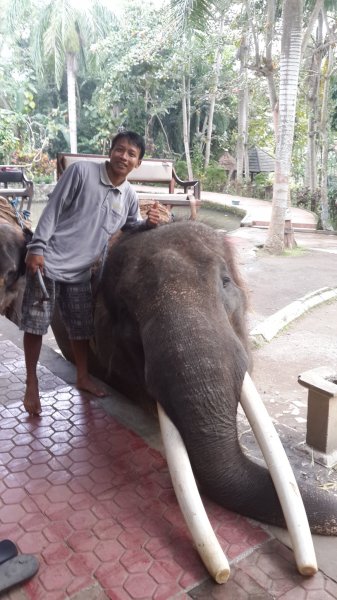 Az elefánttréner és Gandhi