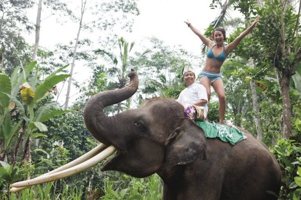 4023f34e701356e154461b893b8b2300