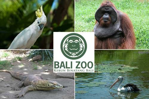 bali-zoo_zoom