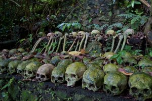 Human_skulls,_Trunyan,_Lake_Batur,_Bali