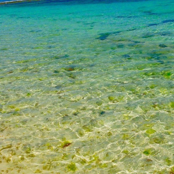 10447630_10202777289572932_7940888533758505893_n